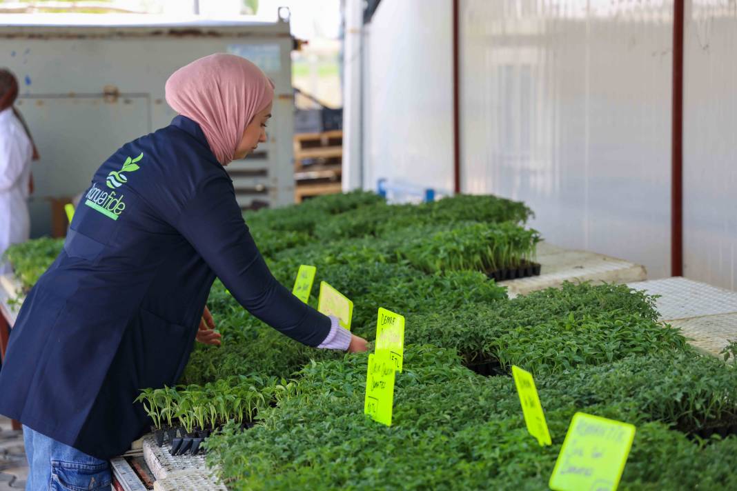 Konya’nın fidesini Meram yetiştiriyor! Satışlar başladı 1